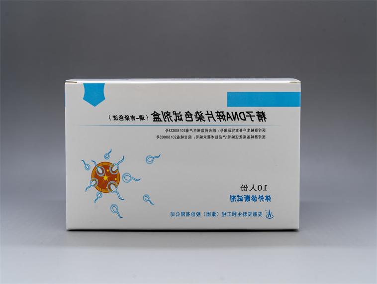精子DNA碎片染色试剂盒（瑞-吉染色法)